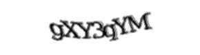 Security check image, please type the characters shown